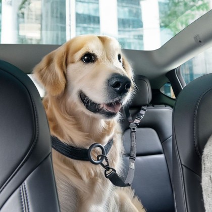 SPIGEN PS100 UNIVERSAL CAR SEAT BELT HOLDER FOR PETS BLACK