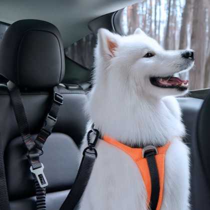 SPIGEN PS100 UNIVERSAL CAR SEAT BELT HOLDER FOR PETS BLACK